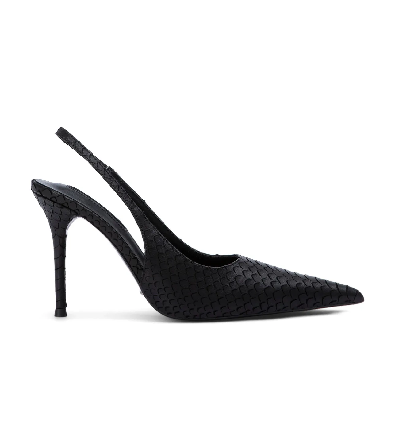 Ivy Black Python