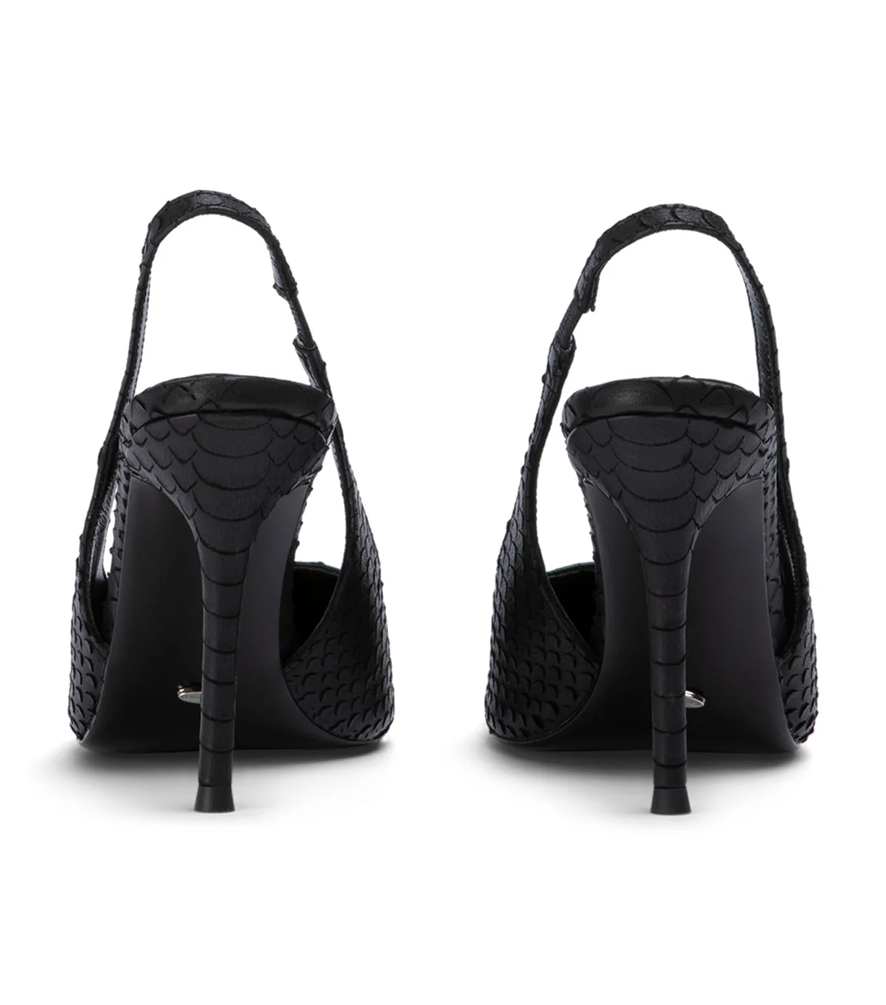Ivy Black Python