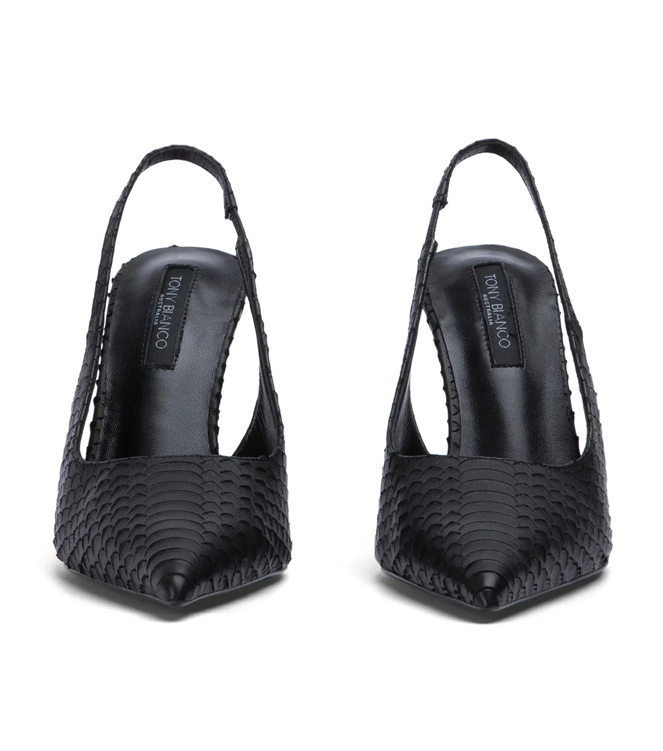 Ivy Black Python